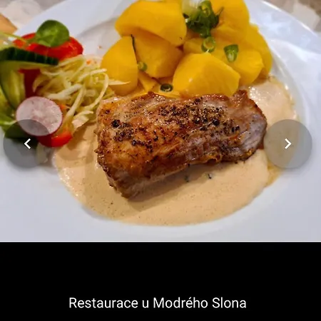 U Modreho Slona Casa de hóspedes 3*