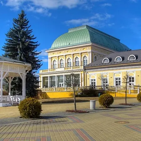 U Modreho Slona Frantiskovy Lazne