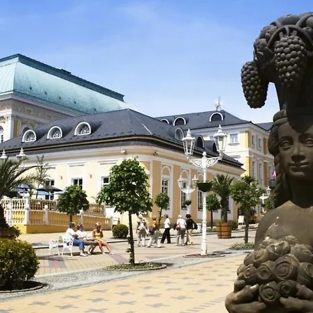 U Modreho Slona Frantiskovy Lazne