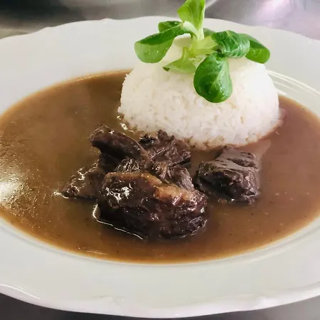 U Modreho Slona Casa de hóspedes 3*