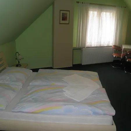 U Modreho Slona 3* Františkovy Lázně