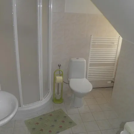 Guest house U Modreho Slona Frantiskovy Lazne