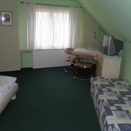 Guest house U Modreho Slona *