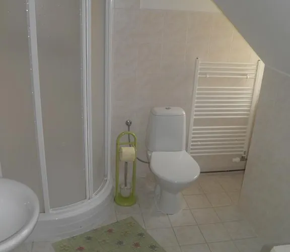 Guest house U Modreho Slona Frantiskovy Lazne